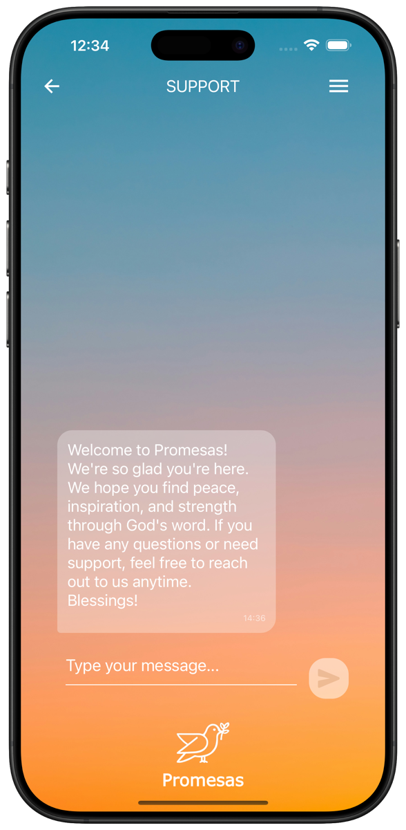 Support chat screen with a welcome message from the Promesas team